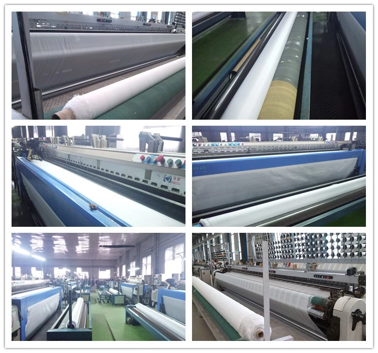 tela tejida de alta resistencia del geotextil del animal doméstico de 320g 150-50kn