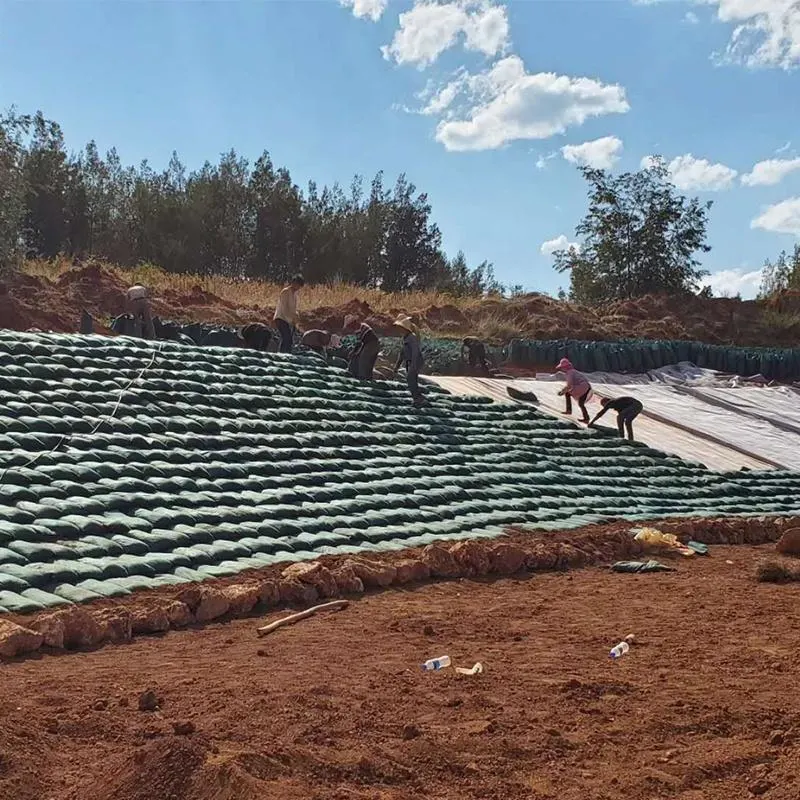 Protección de terraplén Geotextil no tejido Geobag para el refuerzo del sótano 2