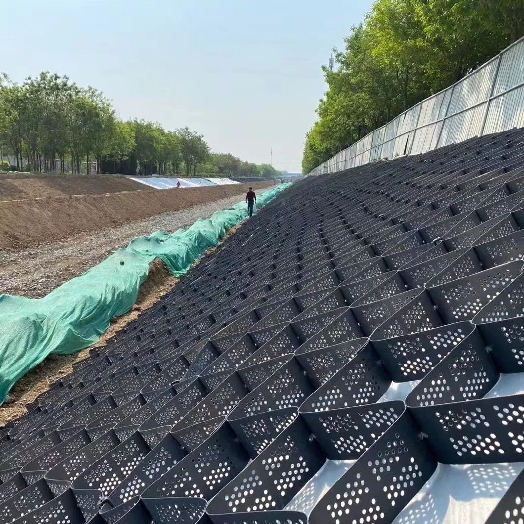 Geocell de HDPE de alta resistencia de 50 mm para la protección de la pendiente de la carretera de entrada 3