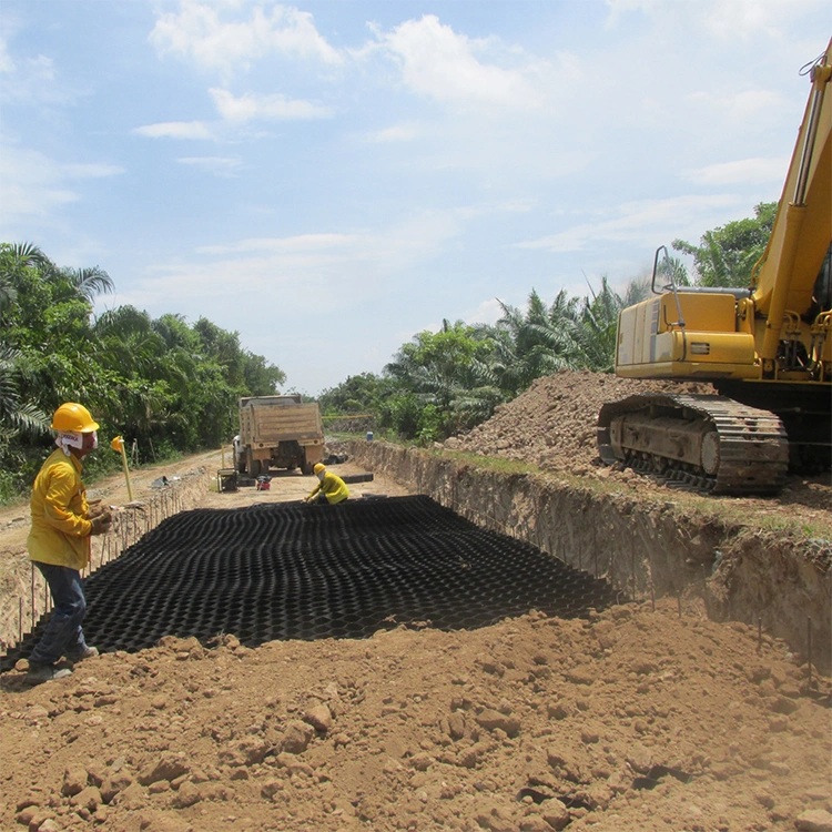 Red de tierra de geocell de plástico HDPE resistente a la corrosión utilizada en la construcción de carreteras 5