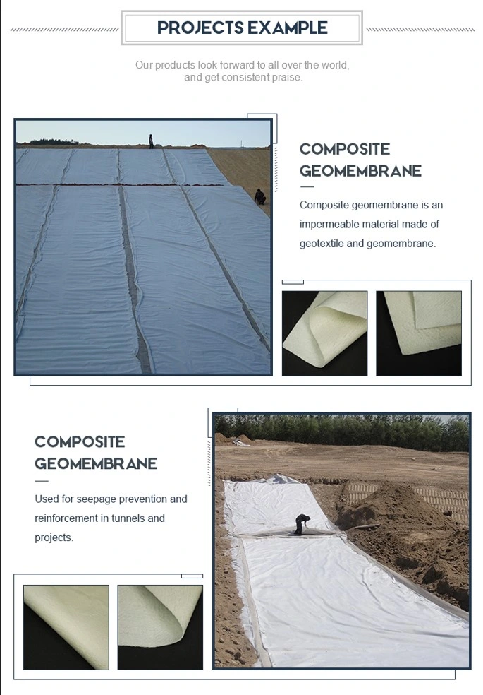 Geomembrana geotextil compuesta de alta resistencia impermeabilizante y antifiltración 2