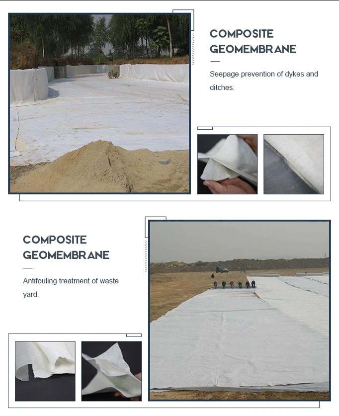 Geomembrana geotextil compuesta de alta resistencia impermeabilizante y antifiltración 3