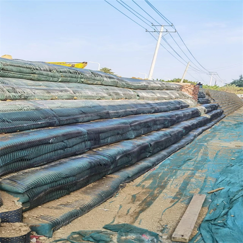 Pp Rejilla geográfica uniaxial de plástico Pe Rejilla geográfica unidireccional Rejilla geográfica uniaxial de poliéster 9