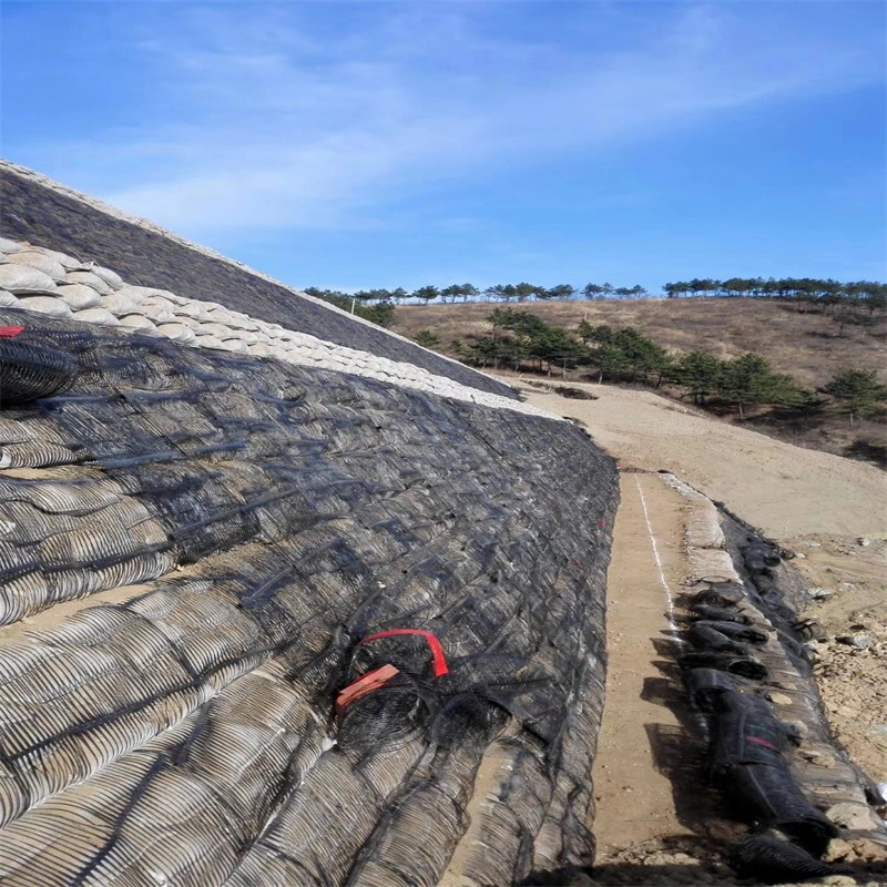 Pp Rejilla geográfica uniaxial de plástico Pe Rejilla geográfica unidireccional Rejilla geográfica uniaxial de poliéster 12