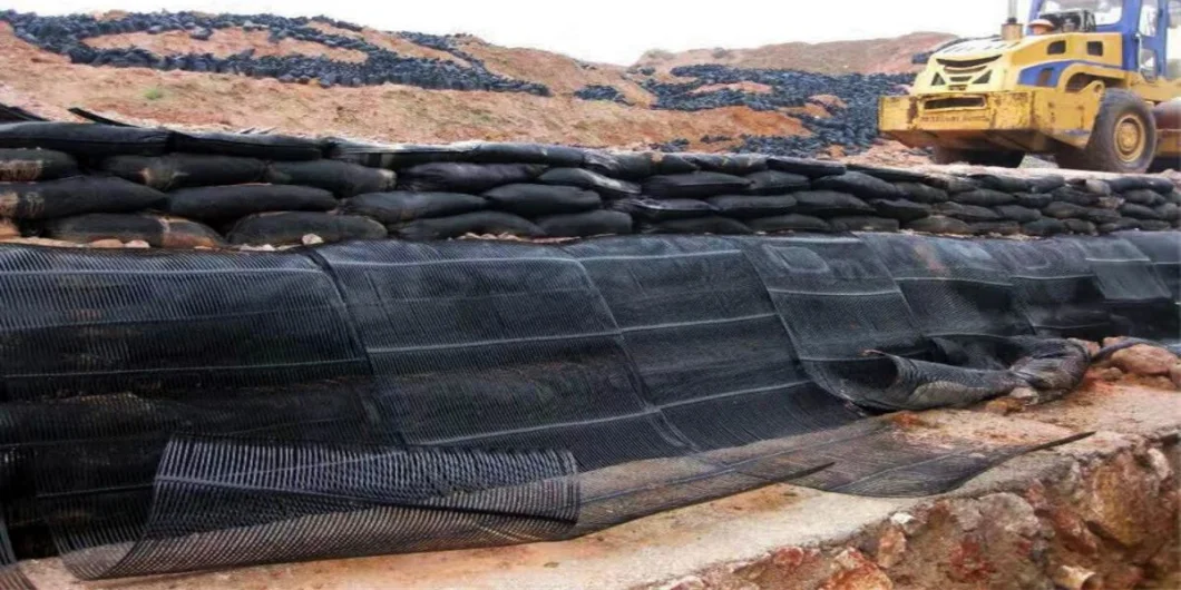 Rejilla de tierra de plástico uniaxial de poliéster Rejilla de tierra de grava uniaxial para el sótano de la entrada 1