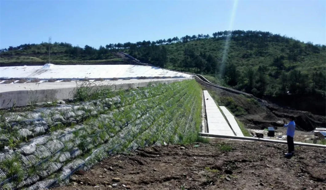 Rejilla de tierra de plástico uniaxial de poliéster Rejilla de tierra de grava uniaxial para el sótano de la entrada 13