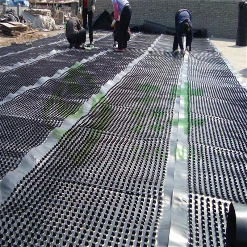 Proyecto de verde de membrana de drenaje con hoyuelos PVC placa de drenaje con hoyuelos perforada trabajo de suelo solución de agua solución de agua 15