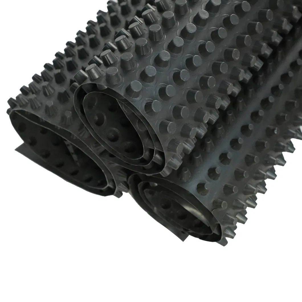Tabla de membrana de drenaje de techo con hoyuelos Tabla de drenaje de zanjas y tabla de pared versátil para soluciones de drenaje 7