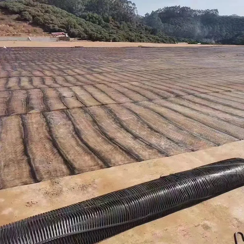 Plastico de polipropileno PE unidireccional uniaxial de tracción geogrid de plástico para el refuerzo del camino 4