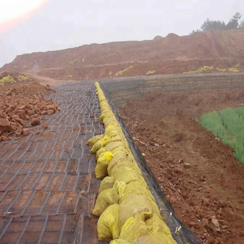 Plastico de polipropileno PE unidireccional uniaxial de tracción geogrid de plástico para el refuerzo del camino 5