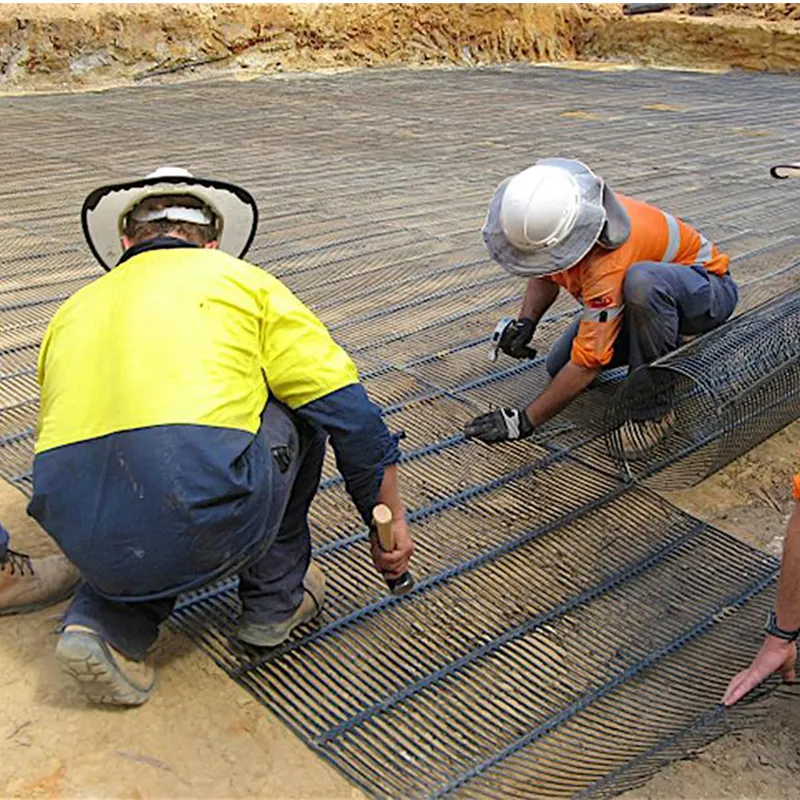 Plastico de polipropileno PE unidireccional uniaxial de tracción geogrid de plástico para el refuerzo del camino 6