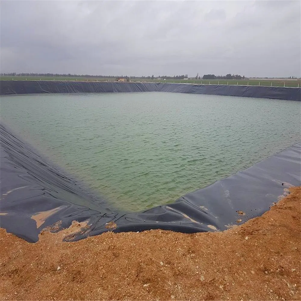 Revestimiento de estanque de geomembrana de granja de peces de polietileno para exteriores, revestimiento de contención de HDPE, revestimiento de estanque grande, revestimiento de estanque de geomembrana impermeable 2