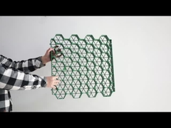 cuadrícula de hierba