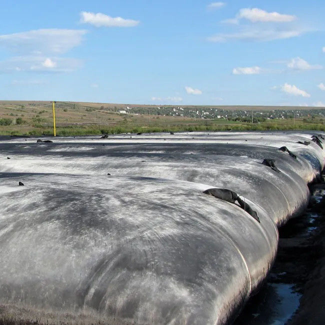 Geo de alta resistencia empaqueta el bolso de filtro de desecación del geotextil
