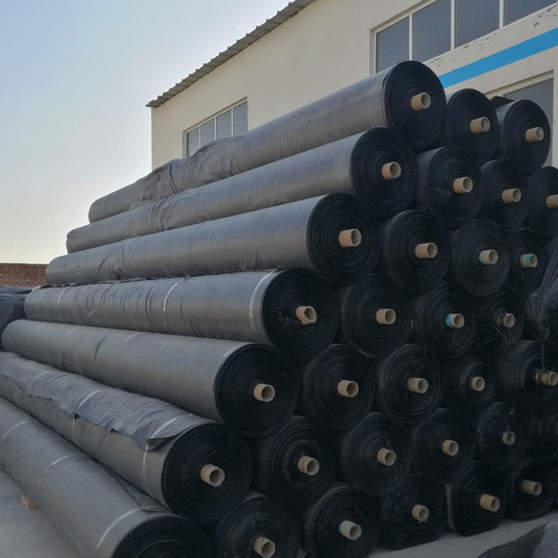 Tela tejida de Geogrid del geotextil de los PP de la estabilización para el producto del refuerzo del suelo
