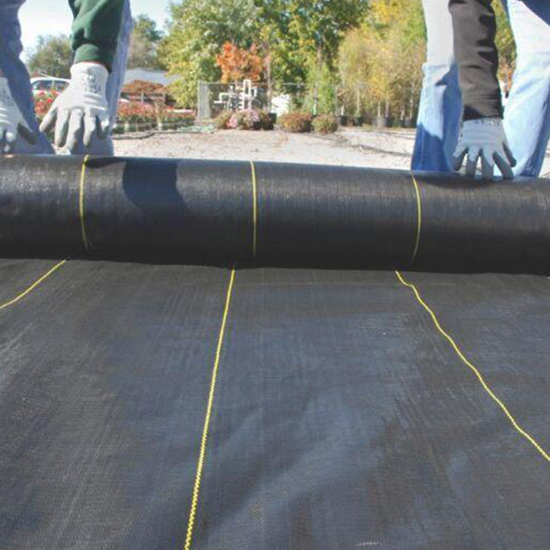 Tela tejida de Geogrid del geotextil de los PP de la estabilización para el producto del refuerzo del suelo