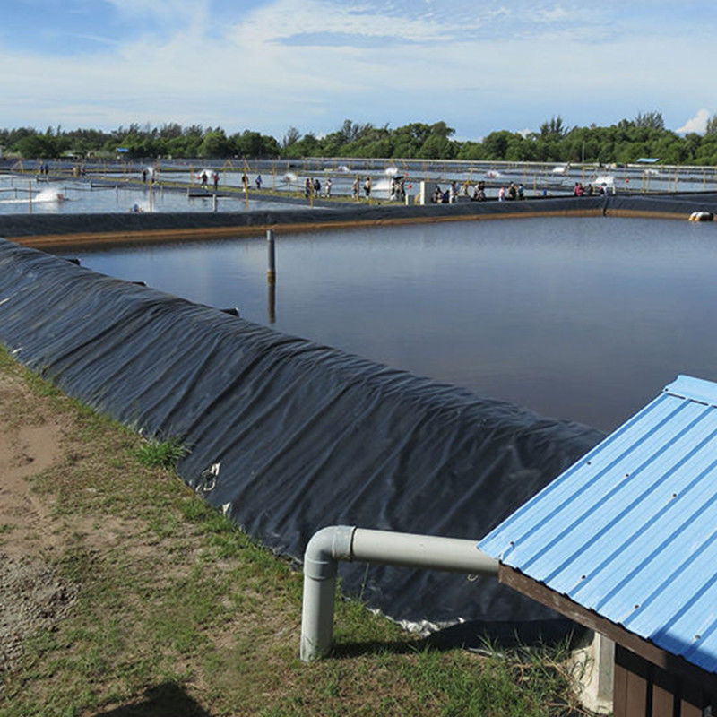 Revestimiento de estanques de geomembrana HDPE impermeable para tanques de agua Granja de camarones de pescado 0,2 - 2,5 mm