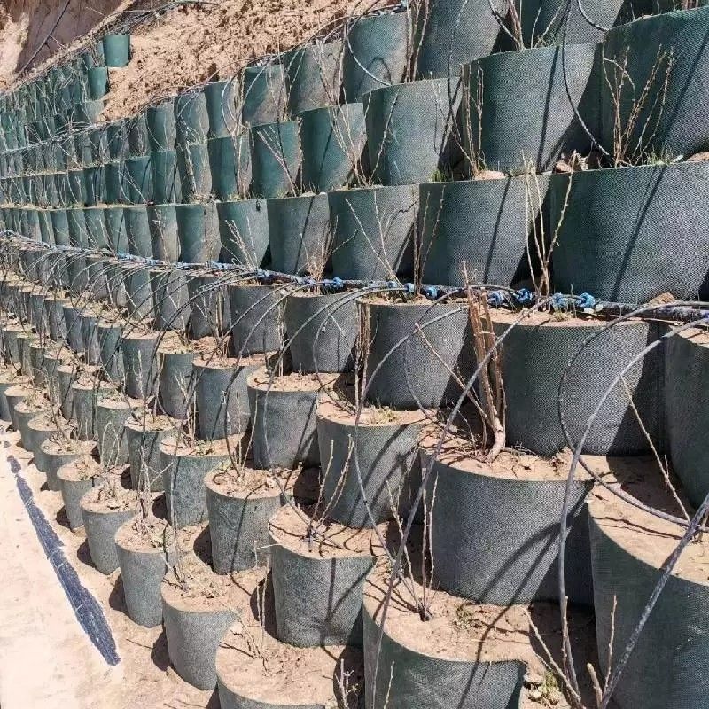 Red de tierra de geocell de plástico HDPE resistente a la corrosión utilizada en la construcción de carreteras