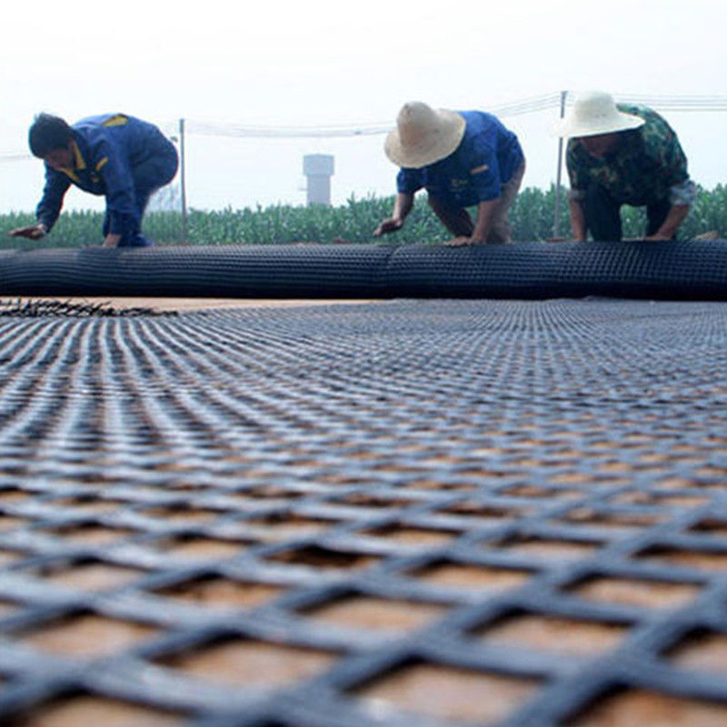 Geogrid de plástico de acero de 80kn con resistencia al ácido y alcalino para protección de pendientes