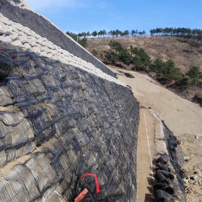 Pp Rejilla geográfica uniaxial de plástico Pe Rejilla geográfica unidireccional Rejilla geográfica uniaxial de poliéster