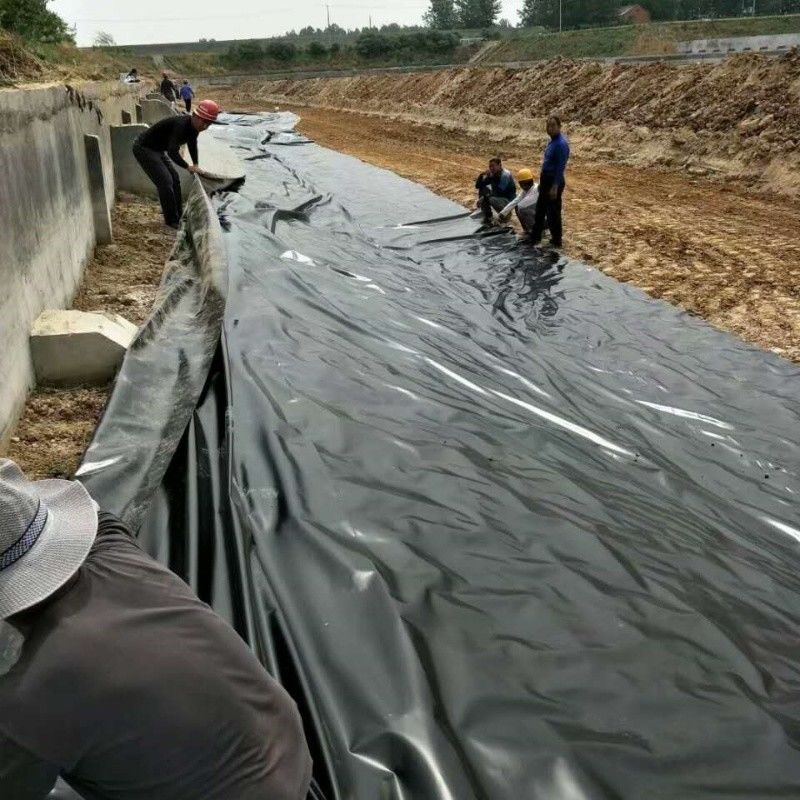 0.5mm 1mm 1.5mm Plástico impermeable Acuicultura Geomembrana Hdpe Liner Granja pesquera mayorista Geomembrana Liner de estanque
