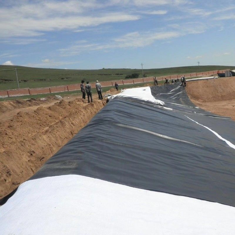 Liner de impermeabilización de geomembrana HDPE / Liner de piscina / Digestor de biogás de vertederos de materiales de construcción de carreteras Georid