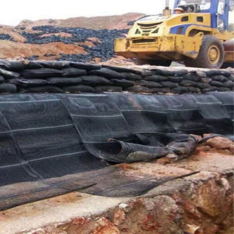 Rejilla de tierra de plástico uniaxial de poliéster Rejilla de tierra de grava uniaxial para el sótano de la entrada