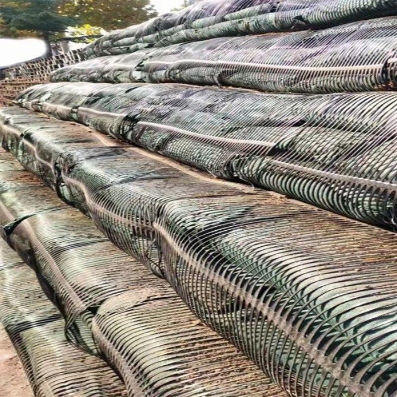 Rejilla de tierra de plástico uniaxial de poliéster Rejilla de tierra de grava uniaxial para el sótano de la entrada