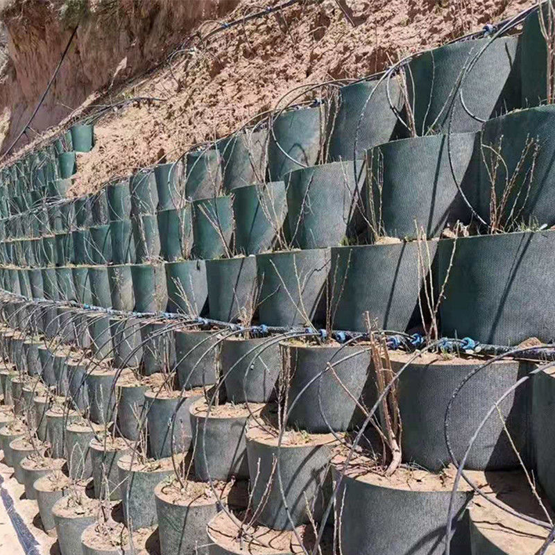 Sistema de confinamiento con alta textura de celda Honeycomb Geocell HDPE para la carretera Fundación Protección de pendientes Parking Parking Driveway Pared de contención