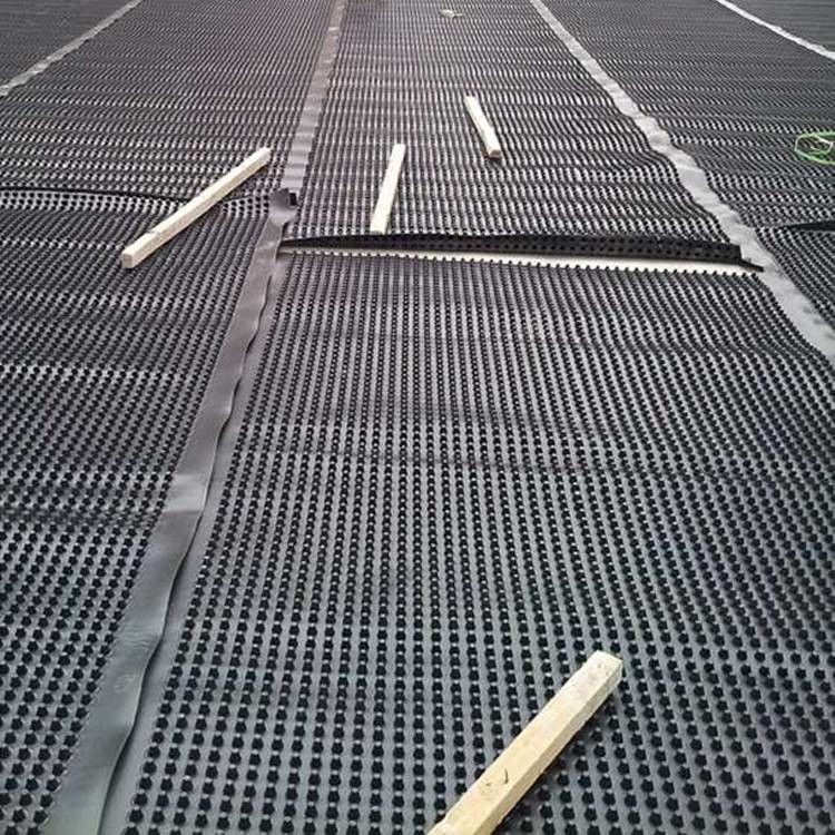 Tabla de membrana de drenaje de techo con hoyuelos Tabla de drenaje de zanjas y tabla de pared versátil para soluciones de drenaje