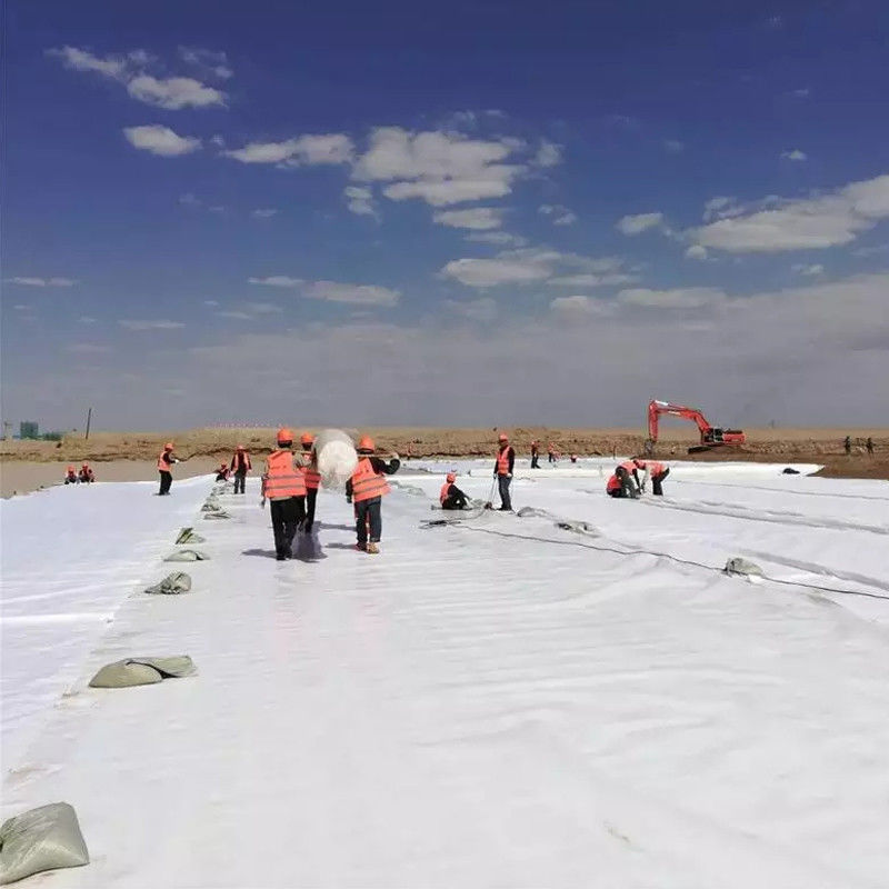 Polyester PET de fibras largas sin tejido con aguja perforada Geotextil de poliéster no tejido Geotextil para revestimiento de carreteras