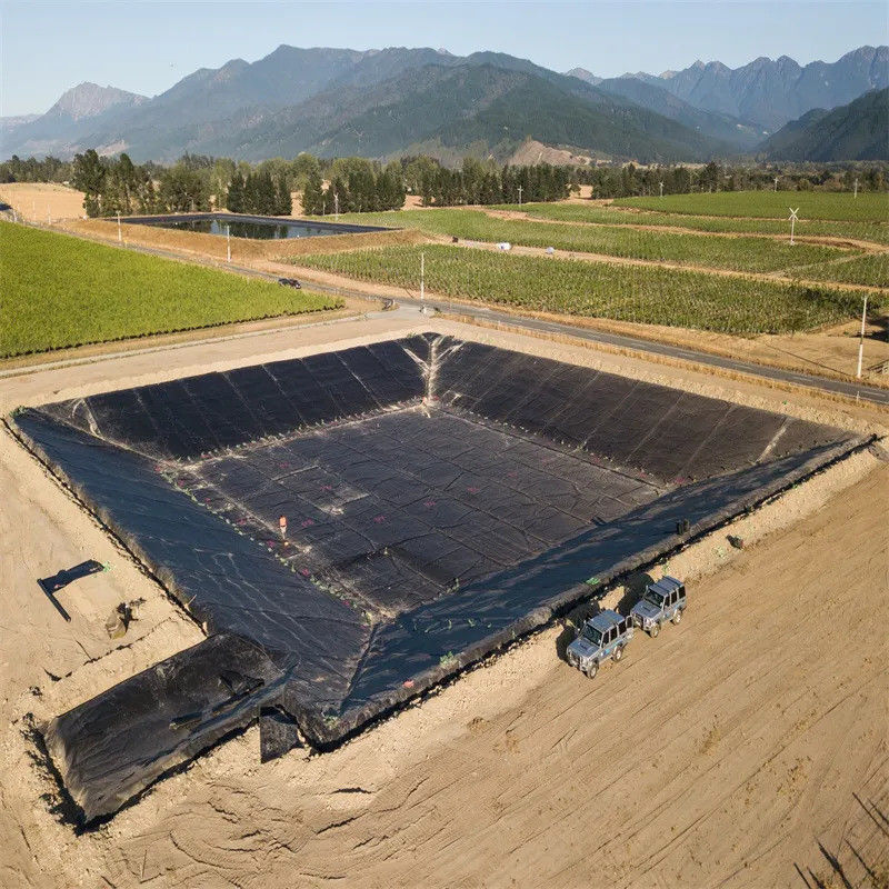 Estudio de diseño industrial para estanques de piscifactoría de pescado y camarón