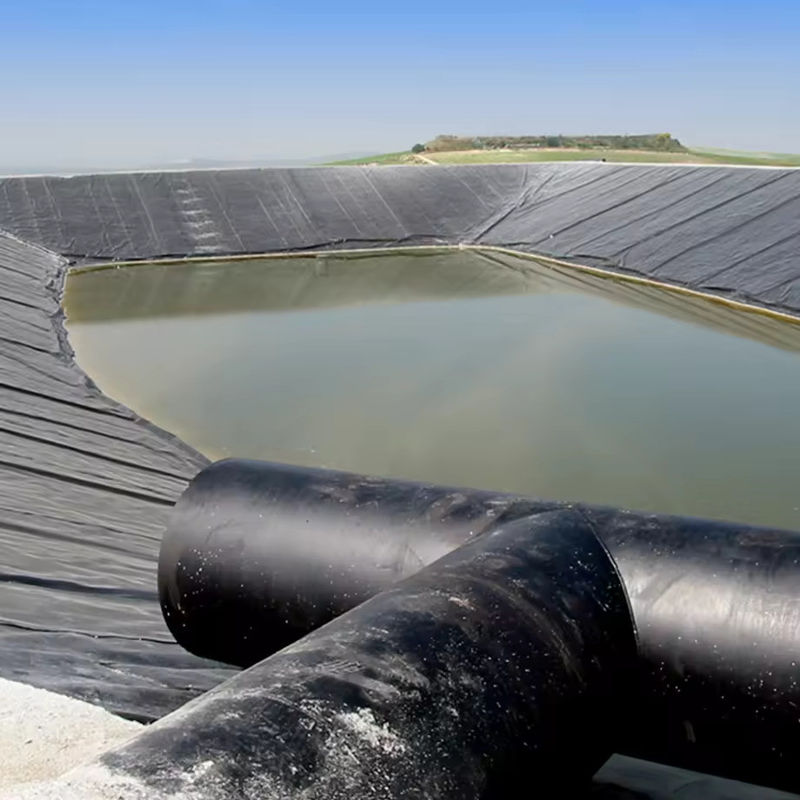 Limpieza de estanque de geomembranas de HDPE LDPE LLDPE PVC personalizada para estanques de pescado y camarón y estanque de polietileno reforzado
