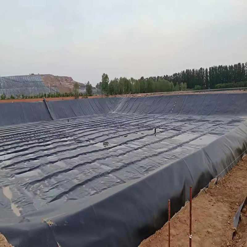 Limpieza de estanque de geomembranas de HDPE LDPE LLDPE PVC personalizada para estanques de pescado y camarón y estanque de polietileno reforzado