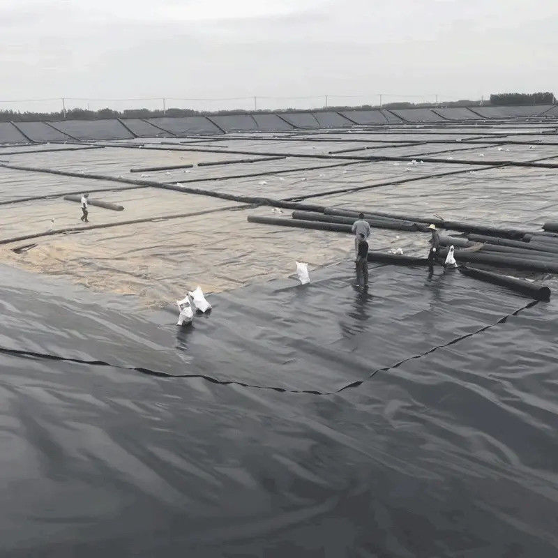 Revestimiento para estanques de geomembrana de HDPE negro de alta calidad de 0,5 mm a 2,0 mm para piscicultura, estanques de acuicultura, depósitos de almacenamiento de agua e impermeabilización de presas