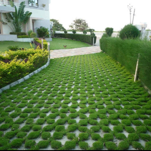 Rejilla de césped de plástico para estacionamiento, salida de incendios, adoquines de HDPE, geogrid para paisajismo, geocelda de suelo, rejilla para paddock de grava