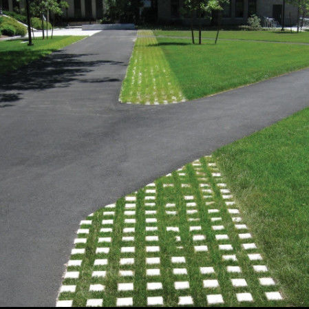 Rejilla de césped de plástico para estacionamiento, salida de incendios, adoquines de HDPE, geogrid para paisajismo, geocelda de suelo, rejilla para paddock de grava