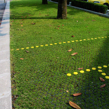 Rejilla de césped de plástico para estacionamiento, salida de incendios, adoquines de HDPE, geogrid para paisajismo, geocelda de suelo, rejilla para paddock de grava