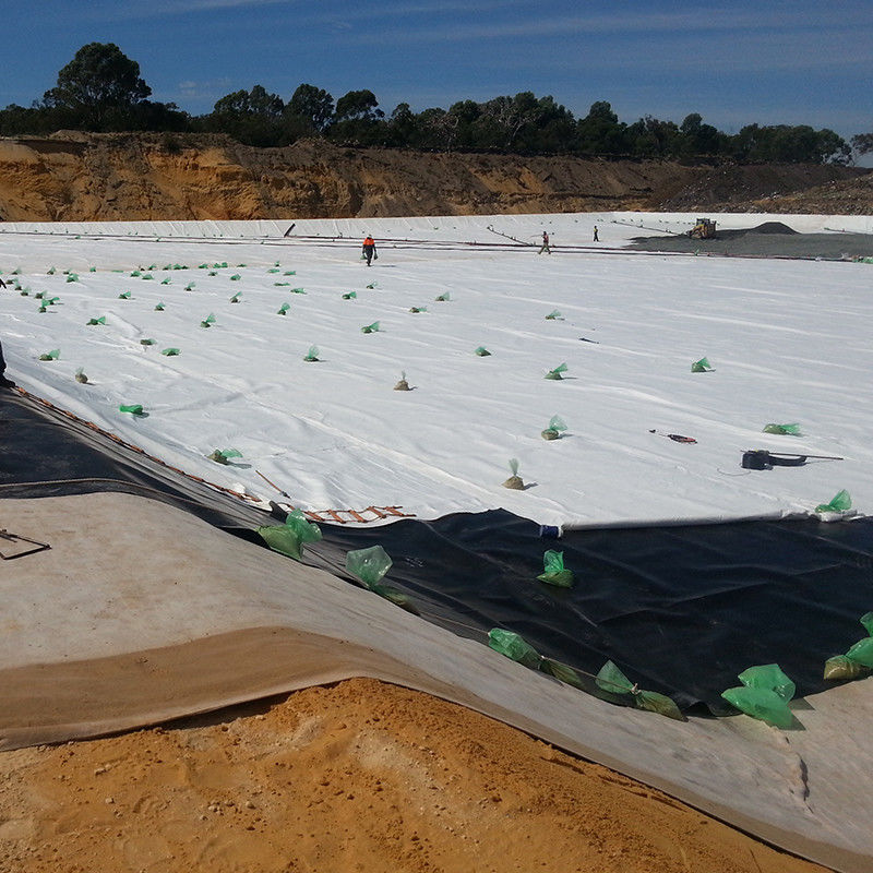 Revestimiento de estanques con geomembrana de HDPE resistente a los rayos UV impermeable para acuicultura Agricultura Presa vertederos Pesquería Biodigestor Minería