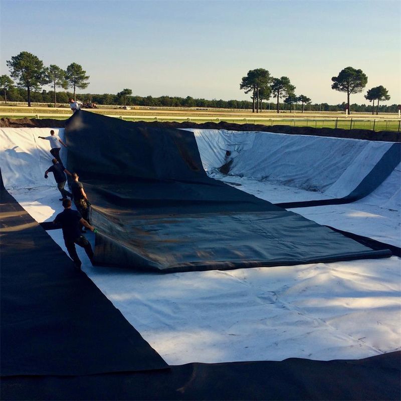 Estilo industrial 1 mm Geomembrana Liner para estanques HDPE Liner plástico Liner para estanques de geomembrana para estanques de peces Hecho de PVC LDPE LLDPE PP Materiales para vertederos