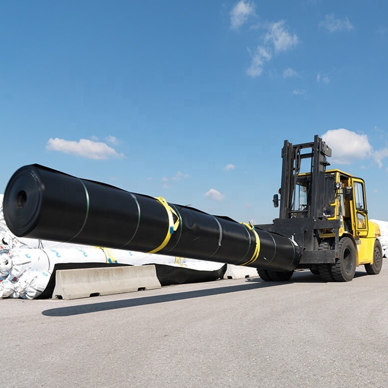 Liner de geomembrana de HDPE para aplicaciones de acuicultura, piscifactorías, estanques, presas, piscinas y contención de agua
