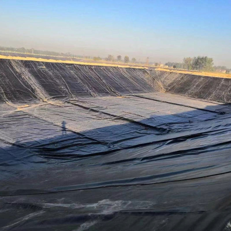 Liner de geomembrana de HDPE para aplicaciones de acuicultura, piscifactorías, estanques, presas, piscinas y contención de agua