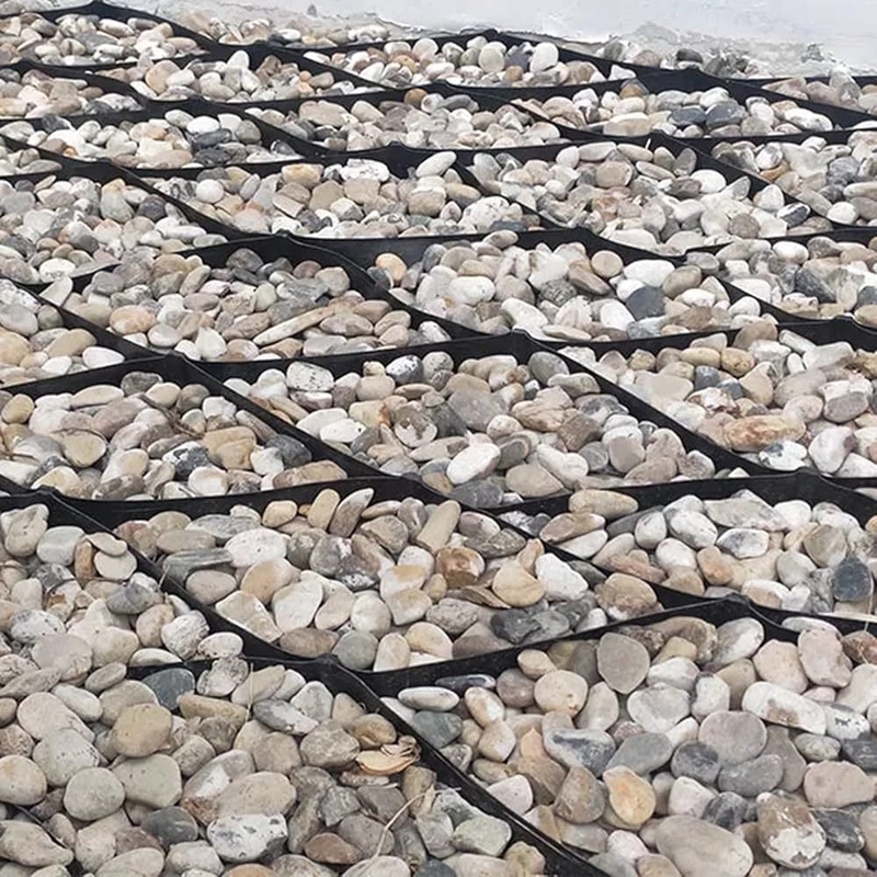 Geoceldas de HDPE duraderas Geocelda de HDPE de superficie lisa para entradas de vehículos Control de erosión para taludes Soporte de muro de contención