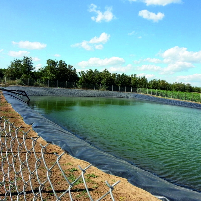 Revestimiento de estanque de geomembrana de granja de peces de polietileno para exteriores, revestimiento de contención de HDPE, revestimiento de estanque grande, revestimiento de estanque de geomembrana impermeable