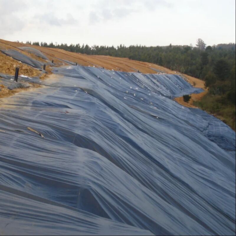 Revestimientos impermeables de superficie lisa para estanques agrícolas, piscicultura y camaronicultura, lagos artificiales y rellenos sanitarios de geomembrana de HDPE